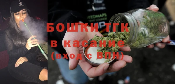 хмурый Мегион