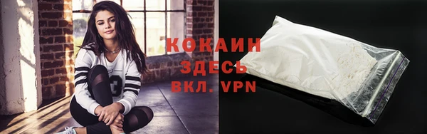 хмурый Мегион