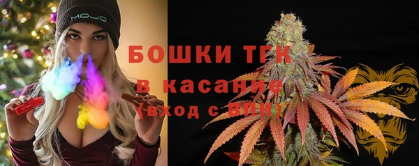 хмурый Мегион