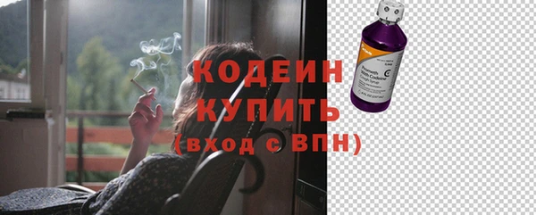 хмурый Мегион
